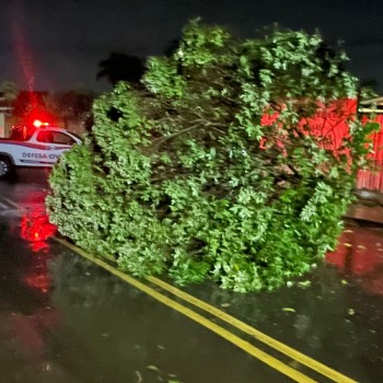 Chuvas causam estragos em Assis e mobilizam equipes da Defesa Civil